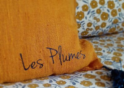 coussin avec signature les plumes